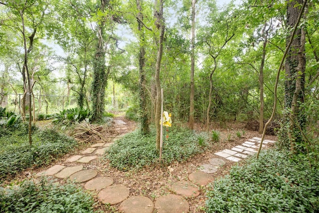 4018 Shady Springs Dr, Seabrook, TX 77586 - view of yard featuring a forest view