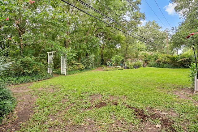 4018 Shady Springs Dr, Seabrook, TX 77586 - view of grassy yard
