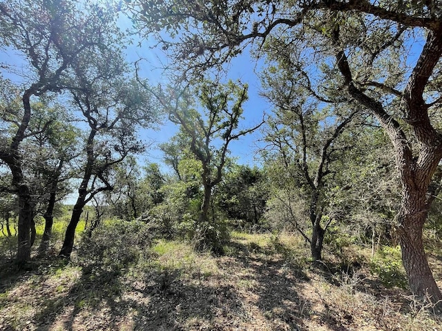 LOT5 County Road 14, Hallettsville, TX 77964 - photo 3