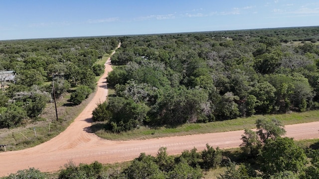 LOT5 County Road 14, Hallettsville, TX 77964 - photo 5