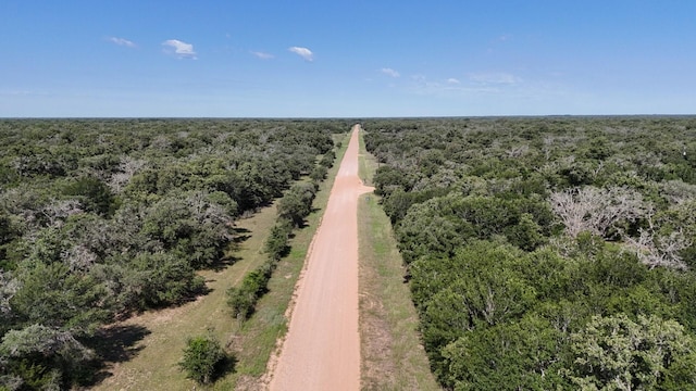 LOT5 County Road 14, Hallettsville, TX 77964 - photo 6