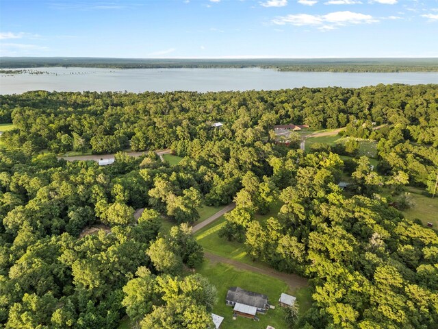 136 County Road 4136, Woodville, TX 75979 - photo 5