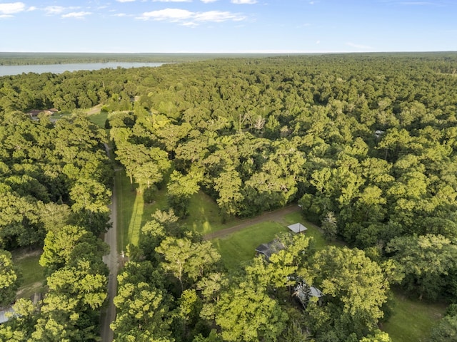 136 County Road 4136, Woodville, TX 75979 - photo 32