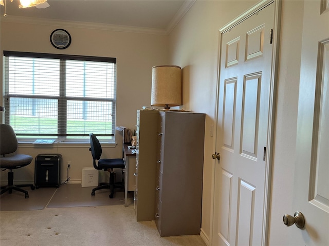 30 Piper Ln, Normangee, TX 77871 - office featuring light carpet and ornamental molding