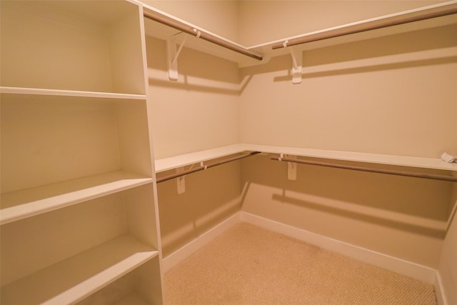 5213 Pinemont Creek Ln, Houston, TX 77018 - walk in closet with light colored carpet