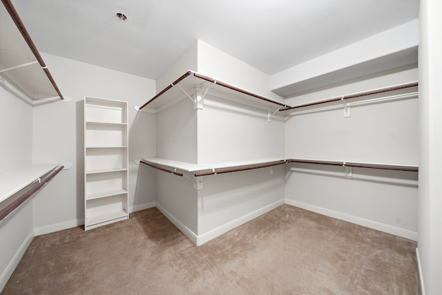 16426 Torry View Ter, Houston, TX 77095 - spacious closet featuring light colored carpet