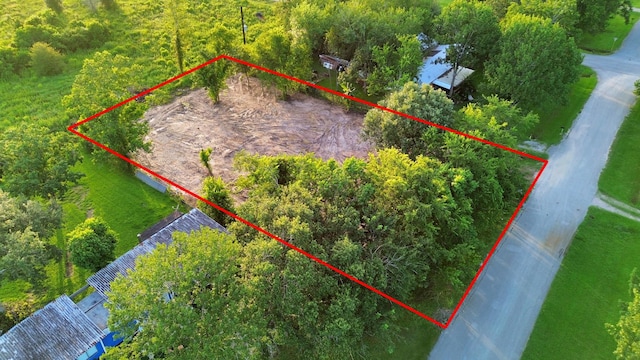 6310 S Heather Cv, Rosharon, TX 77583