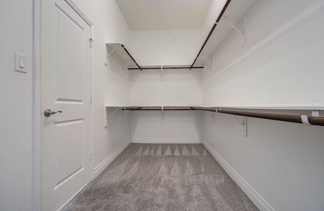 3605 Dolan Trail Ct, Pearland, TX 77584 - spacious closet featuring carpet floors