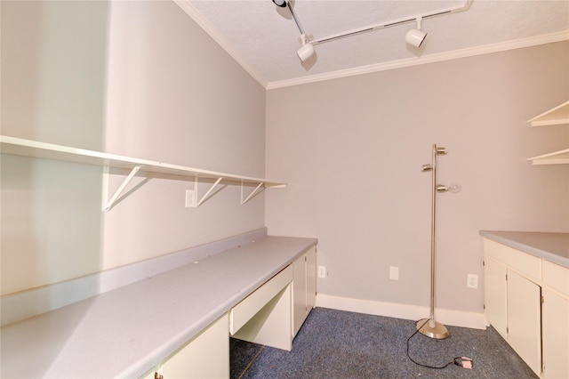 15403 Meadow Village Dr, Houston, TX 77095 - unfurnished office with dark colored carpet, track lighting, and crown molding