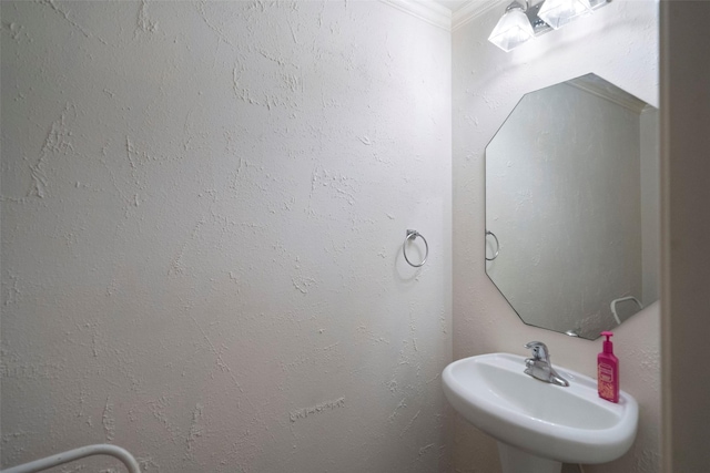 8014 Sports Haven Dr, Humble, TX 77346 - bathroom with a sink and crown molding