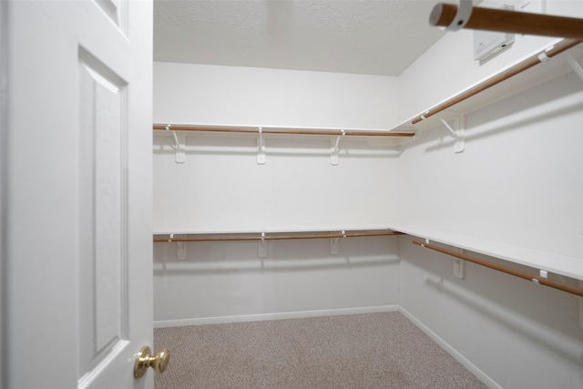 8014 Sports Haven Dr, Humble, TX 77346 - walk in closet with carpet