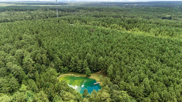 9250 E Fm 942, Livingston, TX 77351