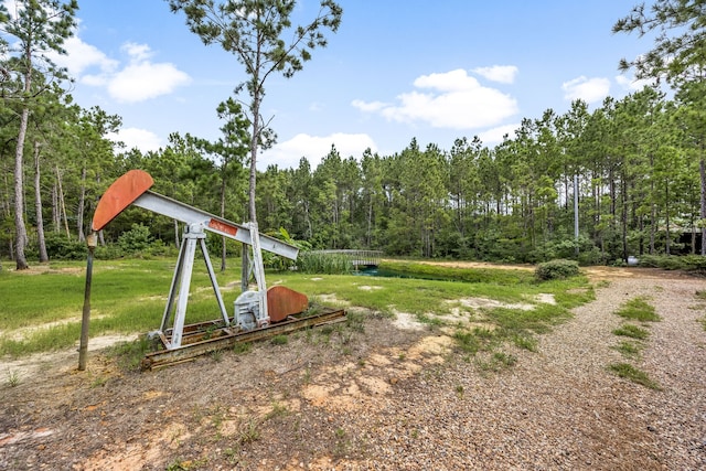 9250 E Fm 942, Livingston, TX 77351