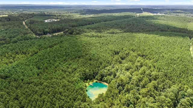 9250 E Fm 942, Livingston, TX 77351