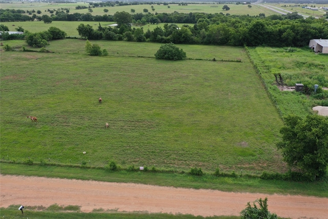 TBD Red Tip Ln, Brenham, TX 77833 - photo 8