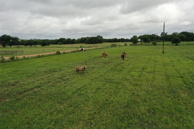 TBD Red Tip Ln, Brenham, TX 77833 - photo 9