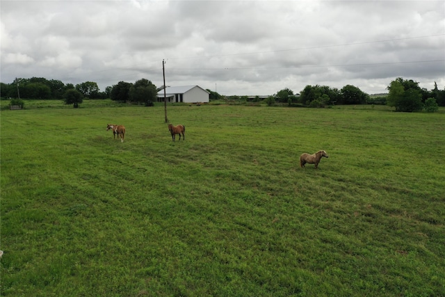 TBD Red Tip Ln, Brenham, TX 77833 - photo 10