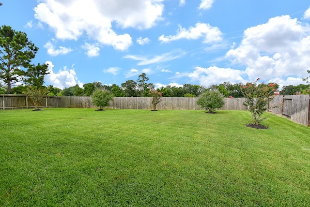 17711 Green Elm Ln, Spring, TX 77379 - photo 48