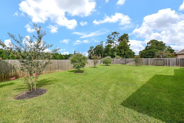 17711 Green Elm Ln, Spring, TX 77379 - photo 47