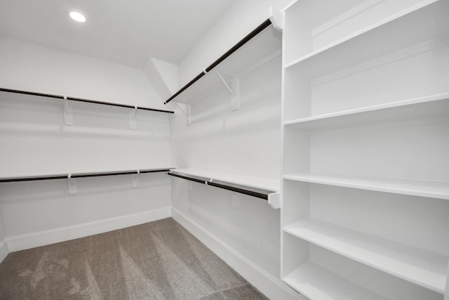 3217 Royal Oaks Hollow Ln, Houston, TX 77082 - spacious closet featuring carpet floors