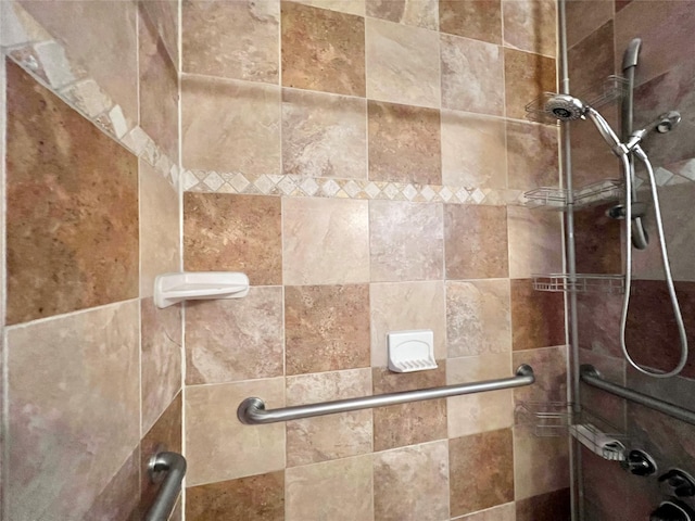 8009 Dellanera Dr, Hitchcock, TX 77563 - detailed view of a tile shower