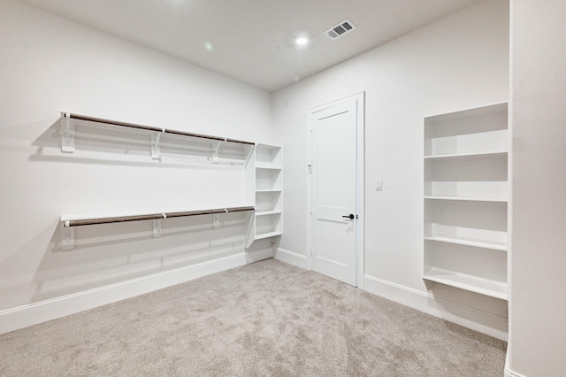 12008 Royal Oaks Banner Way, Houston, TX 77082 - walk in closet featuring carpet floors