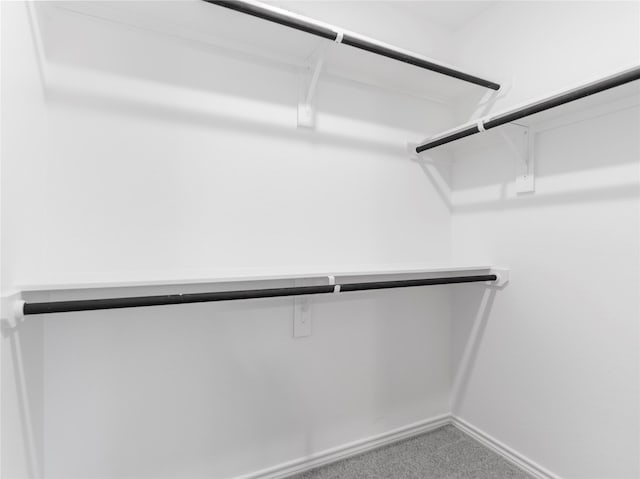 304 N Orange St, Sweeny, TX 77480 - spacious closet featuring carpet floors