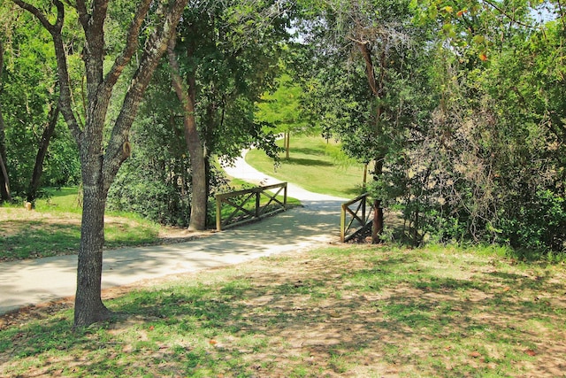 13115 Conifer Rd, Houston, TX 77079 - photo 41