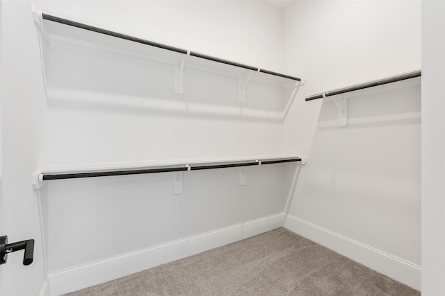 3223 Royal Oaks Hollow Ln, Houston, TX 77082 - spacious closet with light colored carpet
