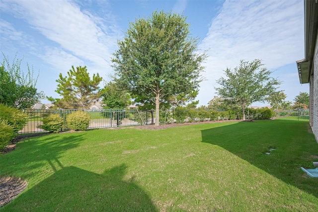 2430 Sunflower Cove Ln, Brookshire, TX 77423 - view of yard