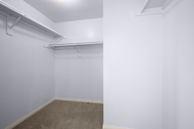 15819 Nutcracker Ct, Humble, TX 77396 - spacious closet featuring carpet