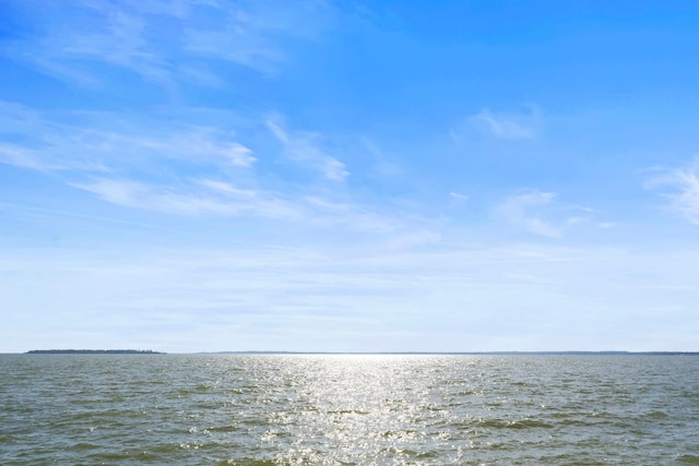 325 Carolcrest Ln Unit 3, Livingston, TX 77351 - water view