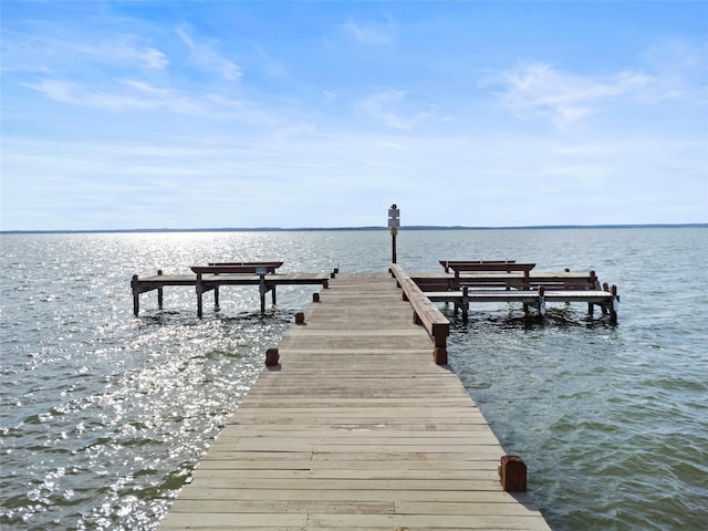 325 Carolcrest Ln Unit 3, Livingston, TX 77351 - dock featuring a water view