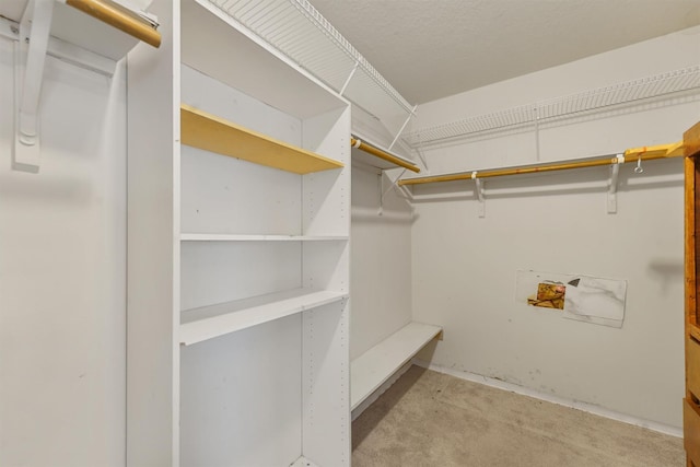 5723 Painted Trail Dr, Houston, TX 77084 - view of spacious closet