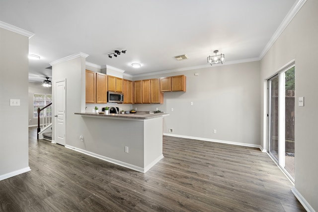 8342 Cassidy Creek Ct, Houston, TX 77095 - kitchen with stainless steel microwave, healthy amount of natural light, crown molding, a ceiling fan, and dark wood-type flooring
