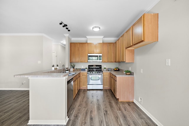 8342 Cassidy Creek Ct, Houston, TX 77095 - kitchen featuring appliances with stainless steel finishes, a peninsula, wood finished floors, ornamental molding, and light countertops