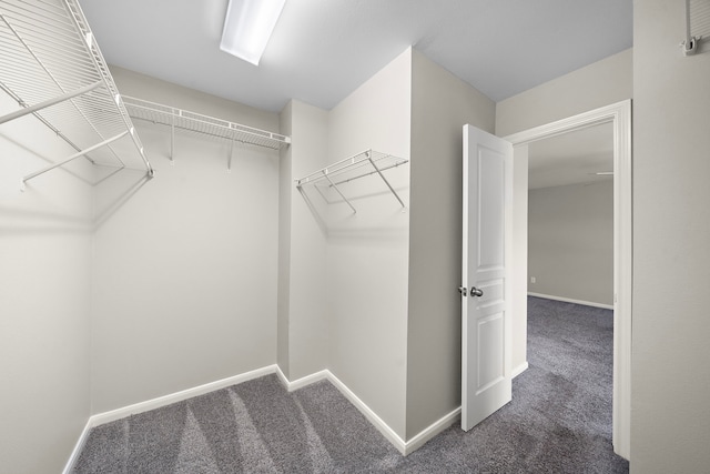 8342 Cassidy Creek Ct, Houston, TX 77095 - walk in closet with carpet