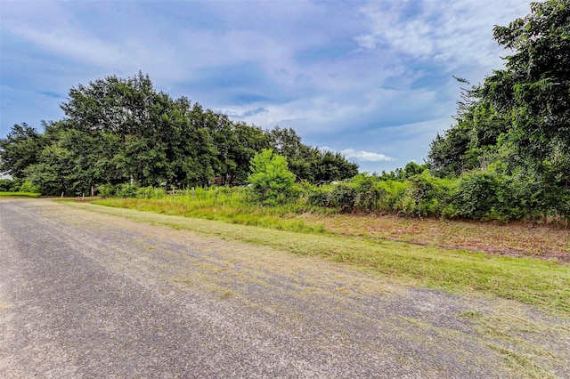 29519 Goynes Rd, Katy, TX 77493 - photo 3
