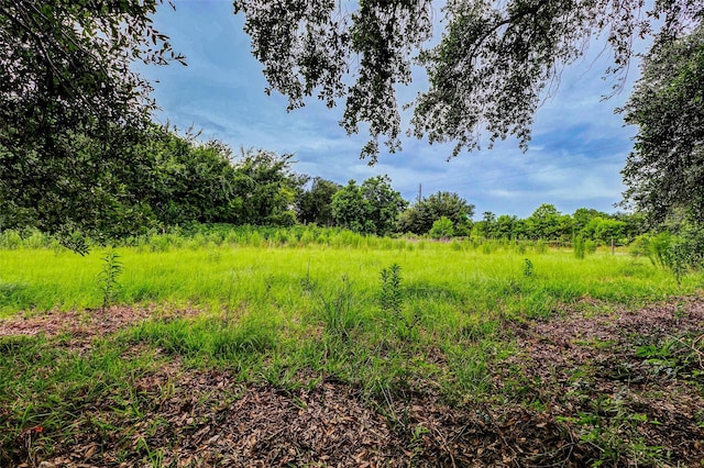 29519 Goynes Rd, Katy, TX 77493 - photo 6