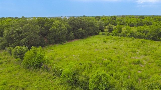 29519 Goynes Rd, Katy, TX 77493 - photo 8