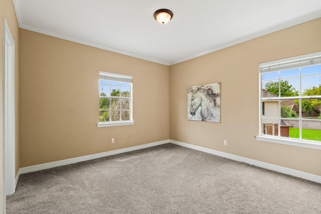 33318 Winsford St, Fulshear, TX 77441 - carpeted empty room featuring ornamental molding