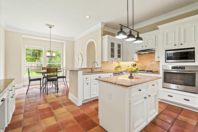33318 Winsford St, Fulshear, TX 77441 - kitchen with stainless steel appliances, under cabinet range hood, ornamental molding, recessed lighting, and decorative backsplash