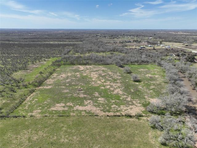 40365 Mt Zion Rd, Pattison, TX 77423 - photo 9