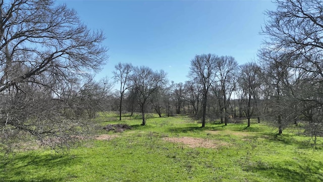 40365 Mt Zion Rd, Pattison, TX 77423 - photo 17