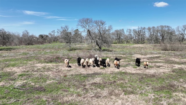 40365 Mt Zion Rd, Pattison, TX 77423 - photo 22