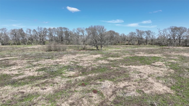 40365 Mt Zion Rd, Pattison, TX 77423 - photo 28