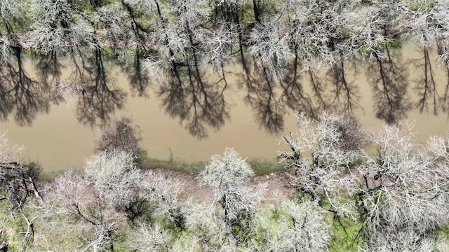 40365 Mt Zion Rd, Pattison, TX 77423 - photo 34