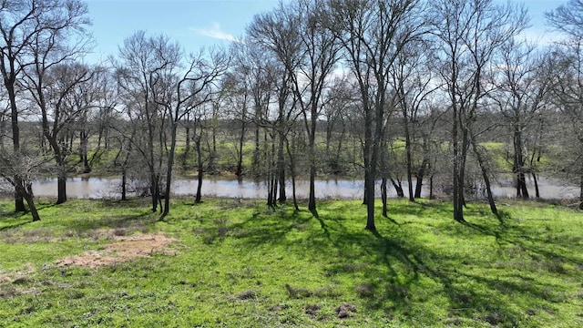 40365 Mt Zion Rd, Pattison, TX 77423 - photo 37