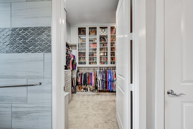 327 N Turks Cap Trl, Montgomery, TX 77316 - photo 29