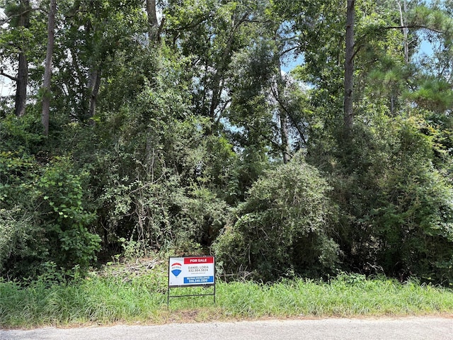 17321 Shadow Ln, Conroe, TX 77306